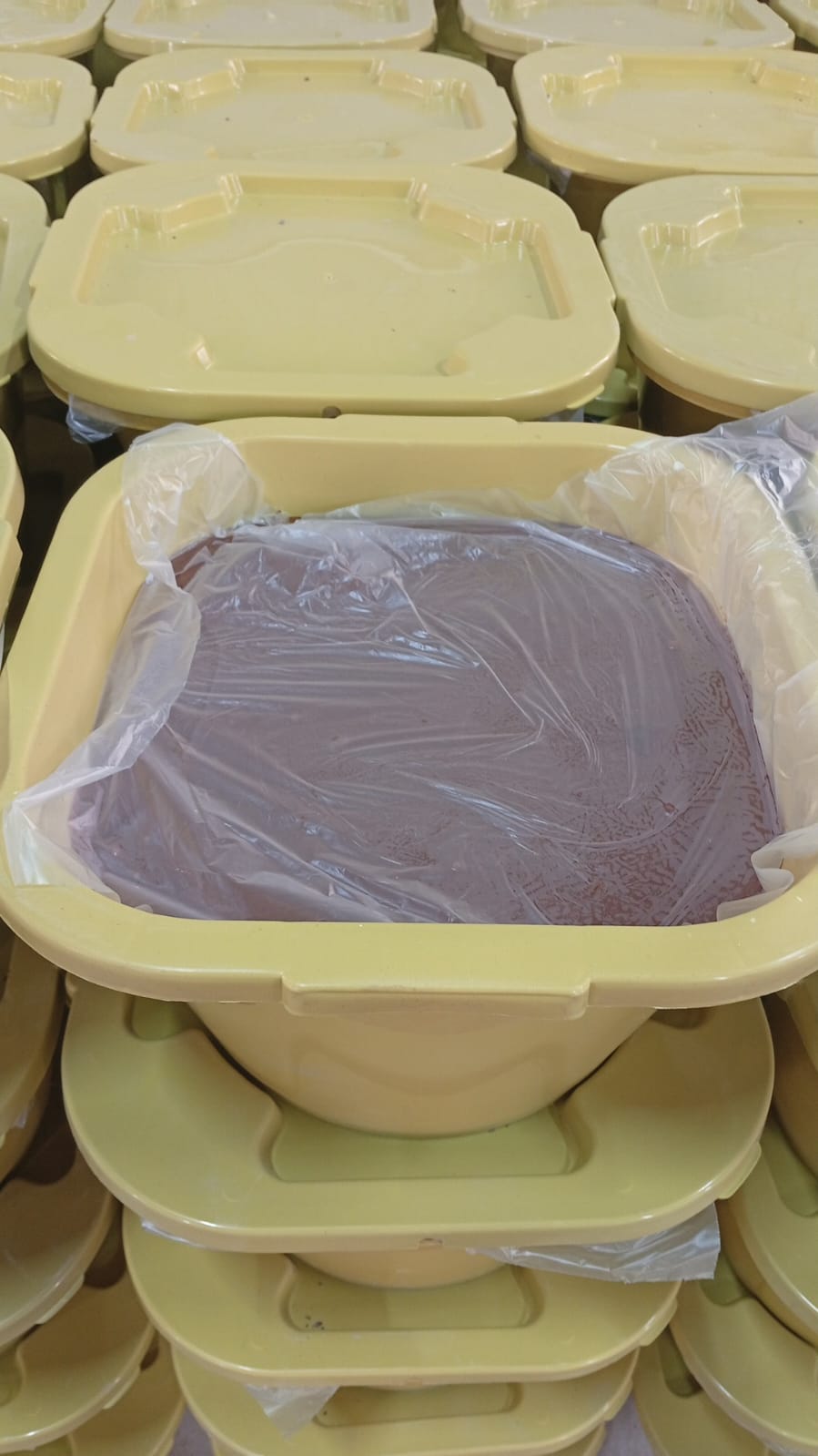 المولاس الذهبي 25 kg